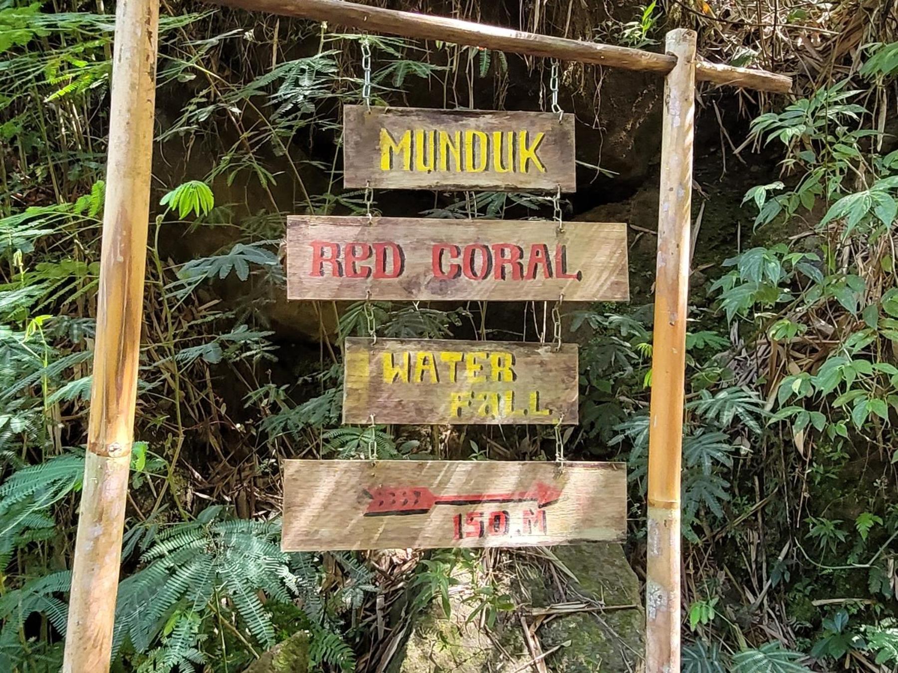 Appartement Umah Yugadi Bali à Munduk Extérieur photo