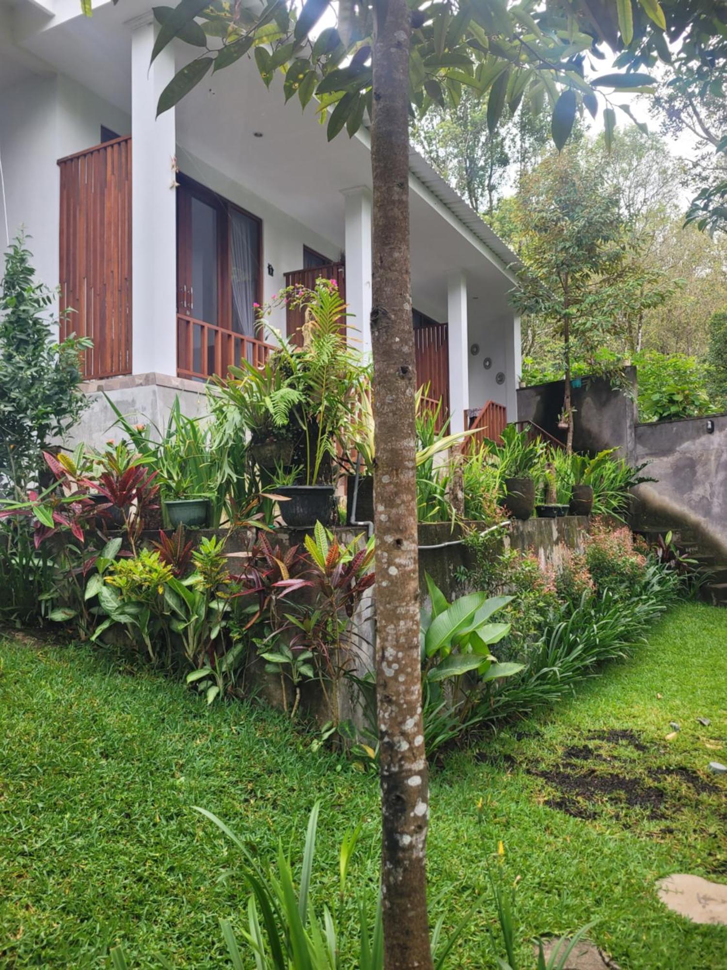 Appartement Umah Yugadi Bali à Munduk Extérieur photo